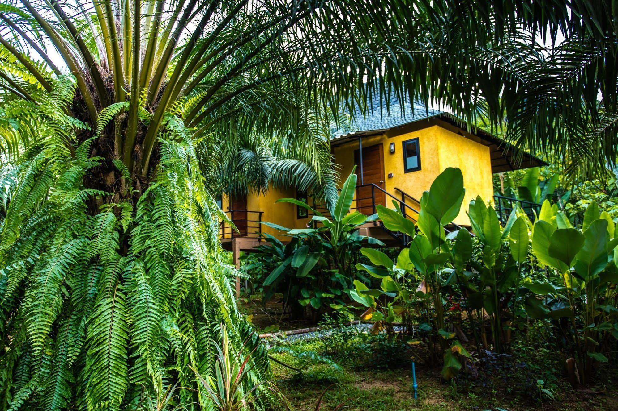 Anurak Community Lodge Khao Sok National Park Bagian luar foto